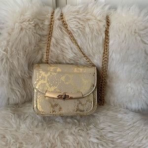 Small crossbody purse